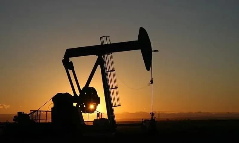 Shehbaz Sharif Appoints Retired General as Energy Adviser