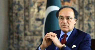 Finance Minister Muhammad Aurangzeb addressing economic reforms in a televised statement.